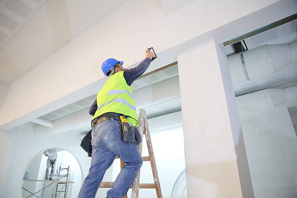 Professional Dry wall and painting in Lansing, IL